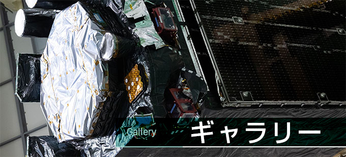 ギャラリー